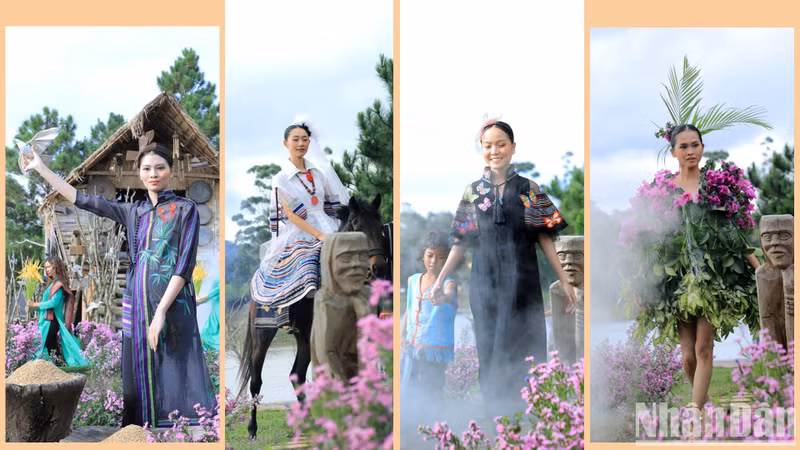Brocade fashion art is a connection between traditional and modern values, vividly designed by creators to suit fashion trends.