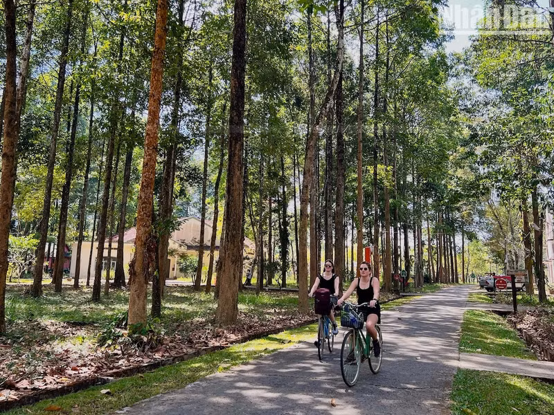 To explore Nam Cat Tien Forest, many tourists choose to rent bicycles, combined with walking.