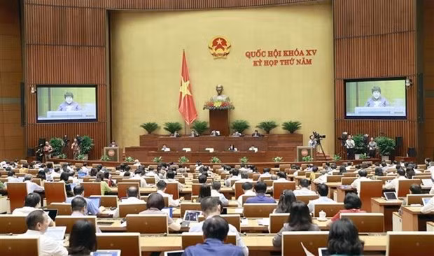 At the meeting (Photo: VNA)
