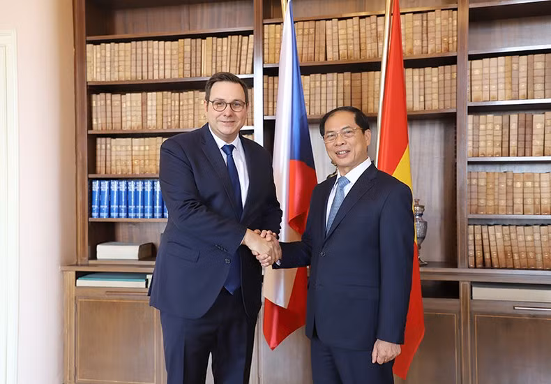 Foreign Minister Bui Thanh Son (R) and his Czech counterpart Jan Lipavsky.