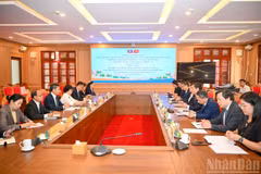 Delegates at the working session (Photo: NDO) 