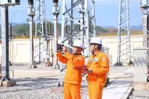 Workers of the Viet Nam Electricity (Source: NDO)