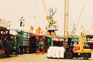 Viet Nam’s rice export value for the full year is forecast at around 3.94 billion USD, about 4% lower than in 2025. (Photo: NDO)