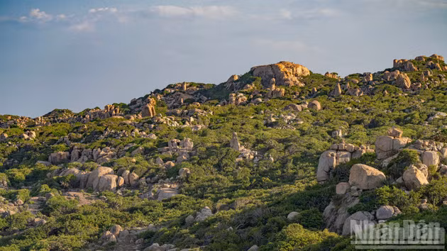 [In Pictures] Nui Chua Rock Park: A million-year-old outdoor museum of landforms on the Khanh Hoa coast