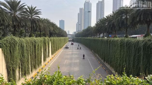 [In Pictures] Bridge columns and underpasses in Ha Noi begin to turn green