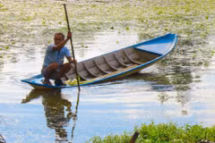 Whether floodwaters are high or low, fishing and harvesting wild produce remain characteristic flood-season livelihoods for Mekong Delta residents. (Photo: Nguyen Hang) 