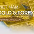 Infographic: SJC gold bars continue to fall on October 24 in line with global gold prices
