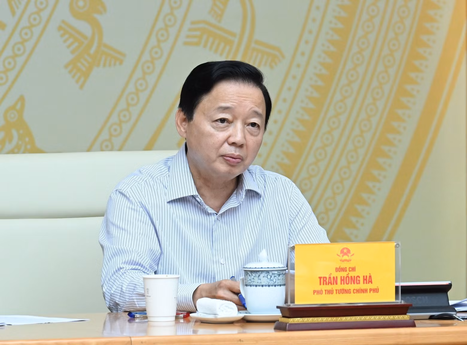 Deputy Prime Minister Tran Hong Ha speaks at the event