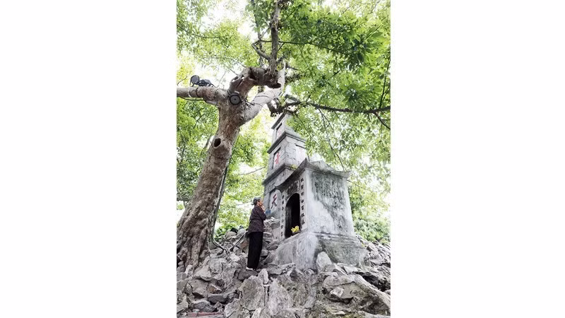 Pen Tower in front of Ngoc Son Temple