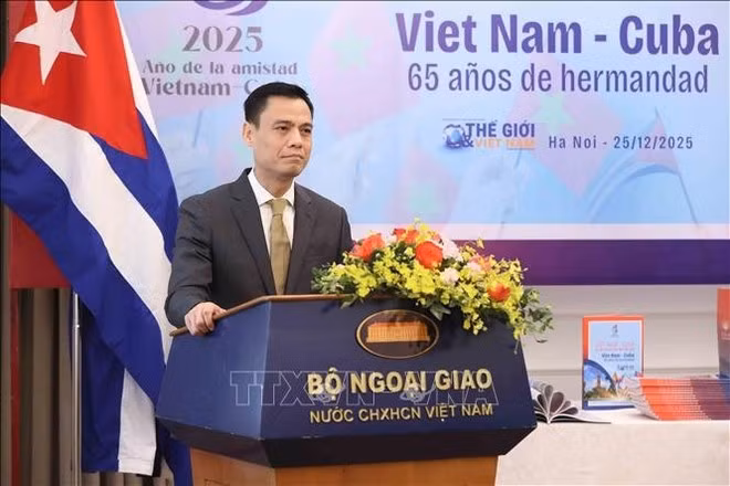 Vietnamese Deputy Minister of Foreign Affairs Dang Hoang Giang speaks at the launch ceremony of the special publication (Photo: VNA)