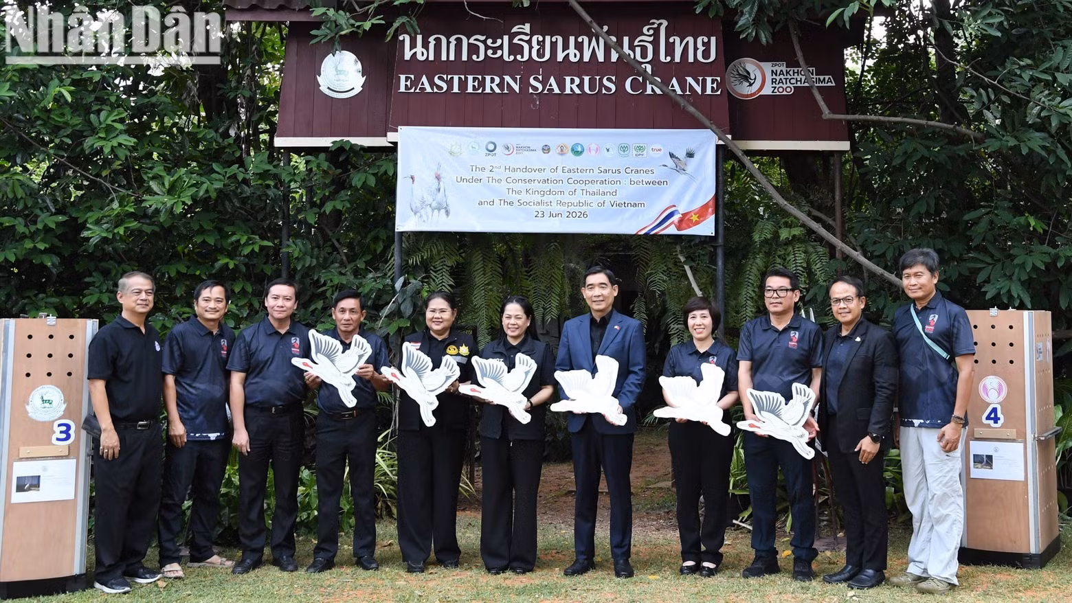 Red-crowned crane conservation cooperation between Viet Nam and Thailand. (Photo: Xuan Son)