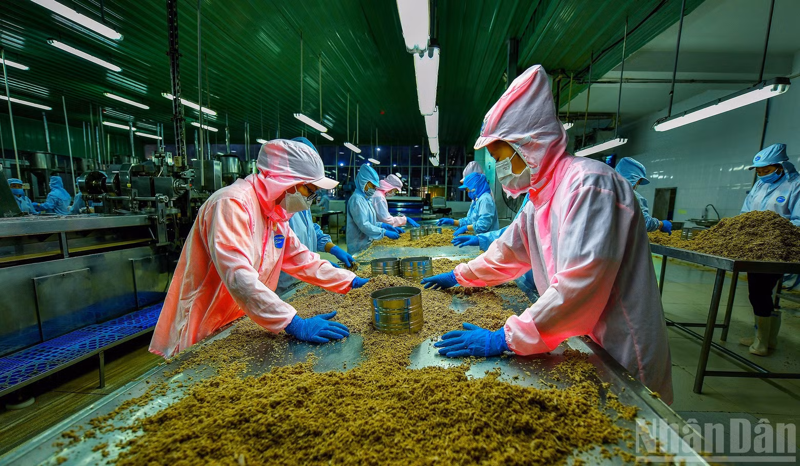 Work: Product classification. Author: Nguyen Dao Duc