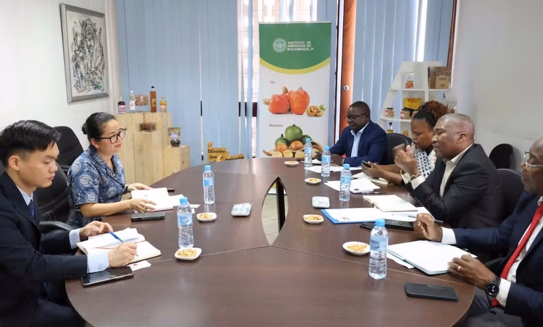 An overview of the meeting. (Photo: Embassy of Viet Nam in Mozambique)