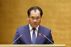 Minister of Agriculture and Environment Trinh Viet Hung presents the Government’s proposals on the amendments to the 2024 Land Law. (Photo: VNA)