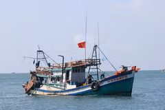 Localities have been demanded to review records of fishing vessels leaving and entering ports, ensuring sufficient and consistent data and clarifying discrepancies between archived records and information on the management system. (Illustrative photo: VNA)