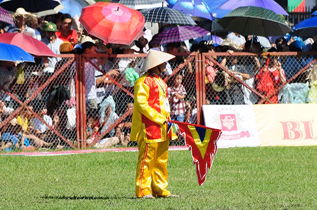 Buffalo fighting festival generates excitement among crowds in Hai Phong ảnh 4 Buffalo fighting festival generates excitement among crowds in Hai Phong ảnh 4
