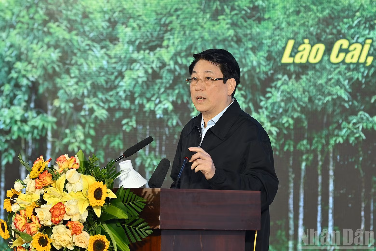 State President Luong Cuong delivers remarks at the ceremony.