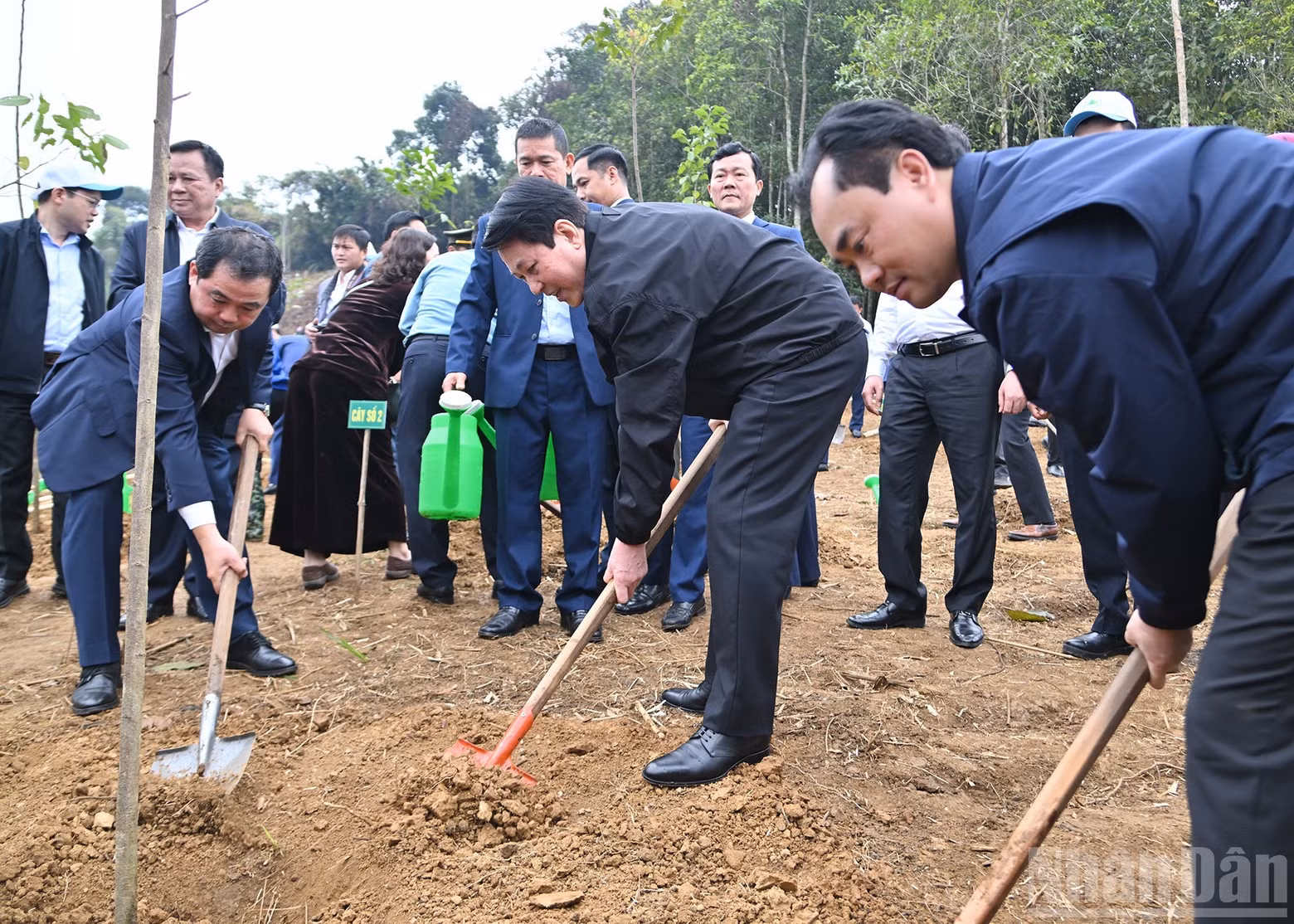 State President Luong Cuong and delegates plant trees at the ceremony.