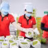 Packaging mangoes for export at Vina T&T Group. (Photo: MINH ANH)
