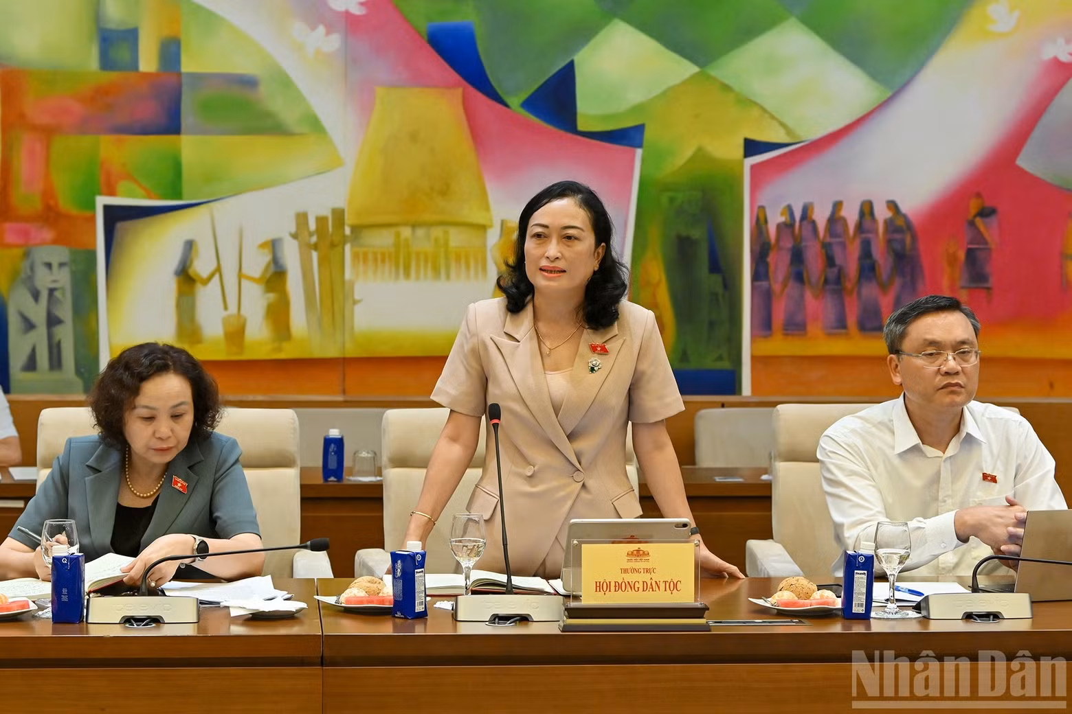 Vice Chairwoman of the Ethnic Council Tran Thi Hoa Ry speaks at the working session.