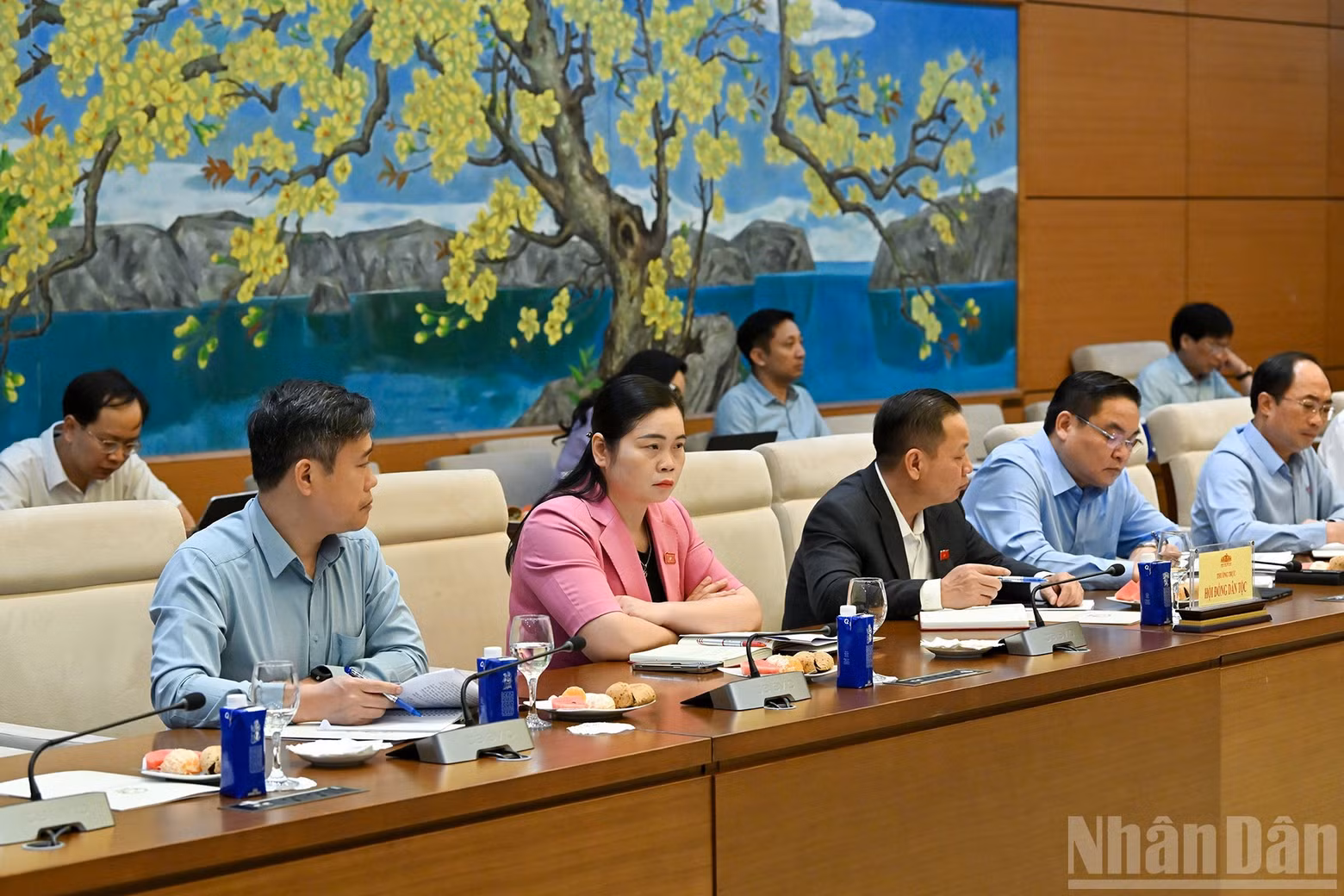 Members of the Standing Board of the Ethnic Council at the working session.