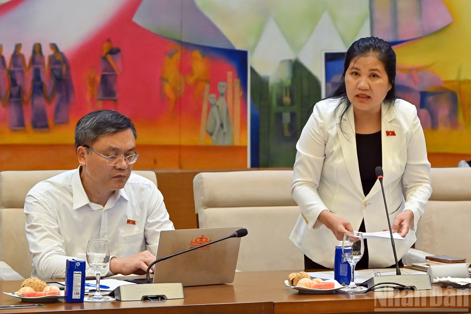 Vice Chairwoman of the Ethnic Council Dinh Thi Phuong Lan speaks at the working session.