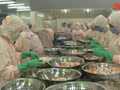 [Video] Fisheries sector targets 12 billion USD in exports